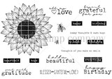 Sunflower Wishes {FRONT & CENTER stamps}