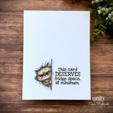 Trash Talkin' Pissy Kitty