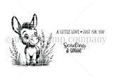 Darling Donkey Smiles