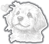 Chip {coordinating die}