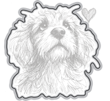 Baxter {coordinating die}